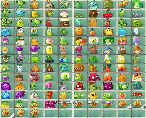 plants vs zombie 2 wiki|pvz 2 all plants list.